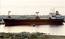 A1124179.jpg