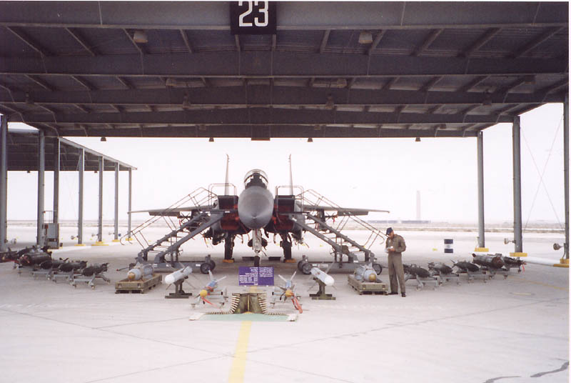 Royal_Saudi_Air_Force_F-15S_Eagle.jpg