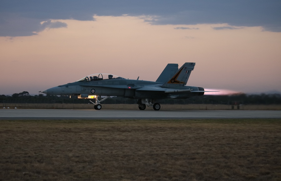 img_8139_2_hornet_night_900.jpg