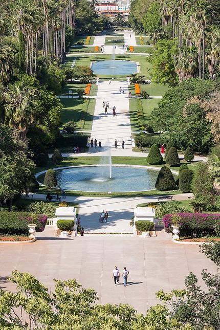 Alger - Jardin d'Essai - Jardin à la française