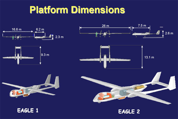 eagle_1.jpg