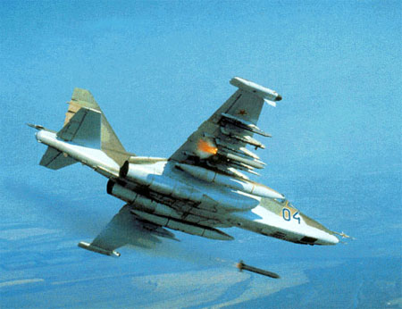 su25_2.jpg