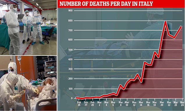 www.dailymail.co.uk