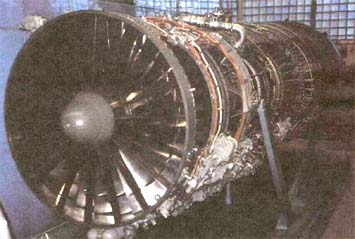 nk321.jpg