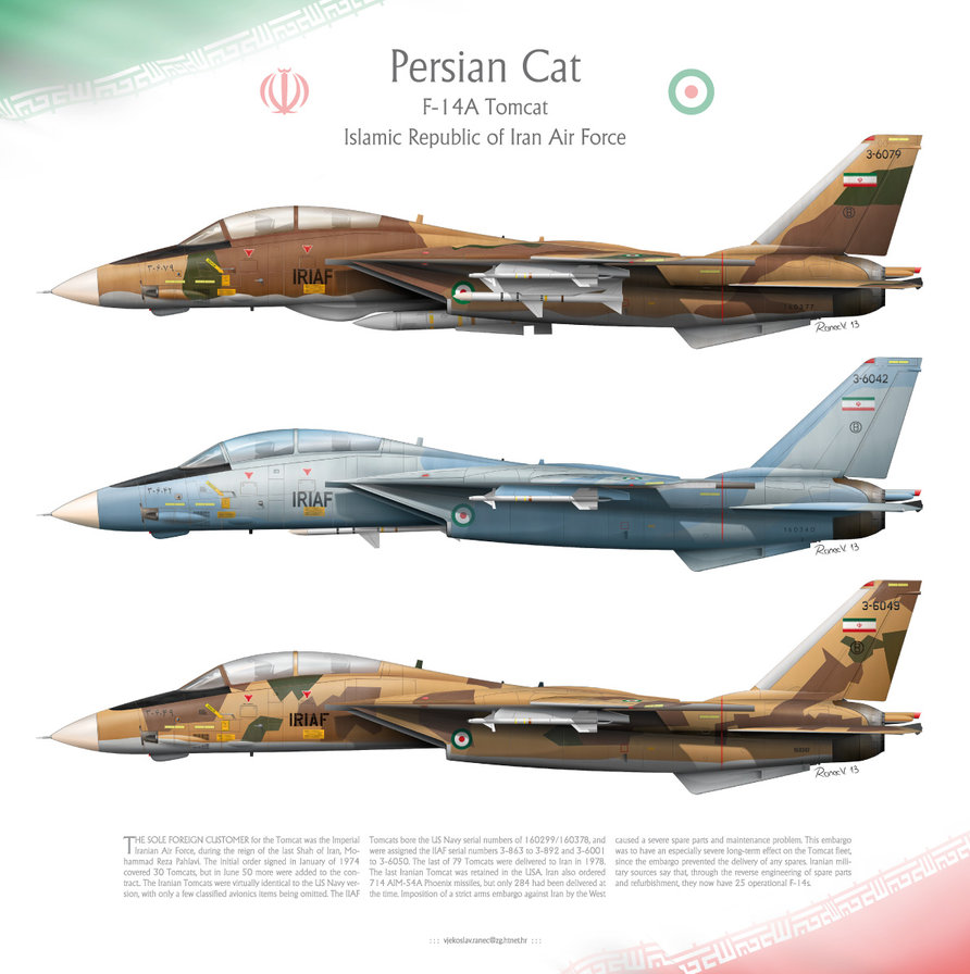 f_14a_tomcat_iriaf__persian_cat__by_0viking0-d5xttqc.jpg