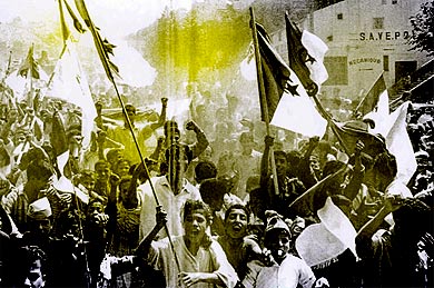 ar-390-250_Algerie.jpg