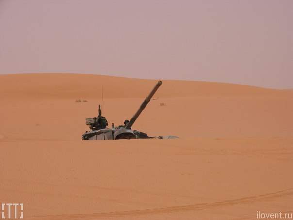 Sh5xWAcJYIs.jpg