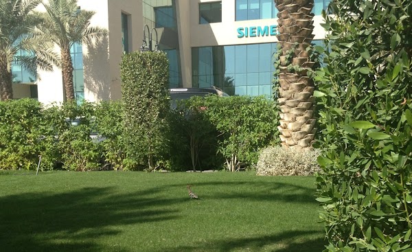 AF1QipN4MDAEx1eI8i8eVzQLhmW7bLQiJX3NRYO3oeMU=w600-k