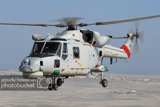 oman-lynx.jpg