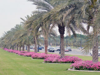 6a.jpg