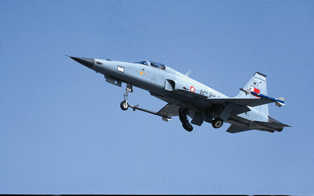 f-5e_2.jpg