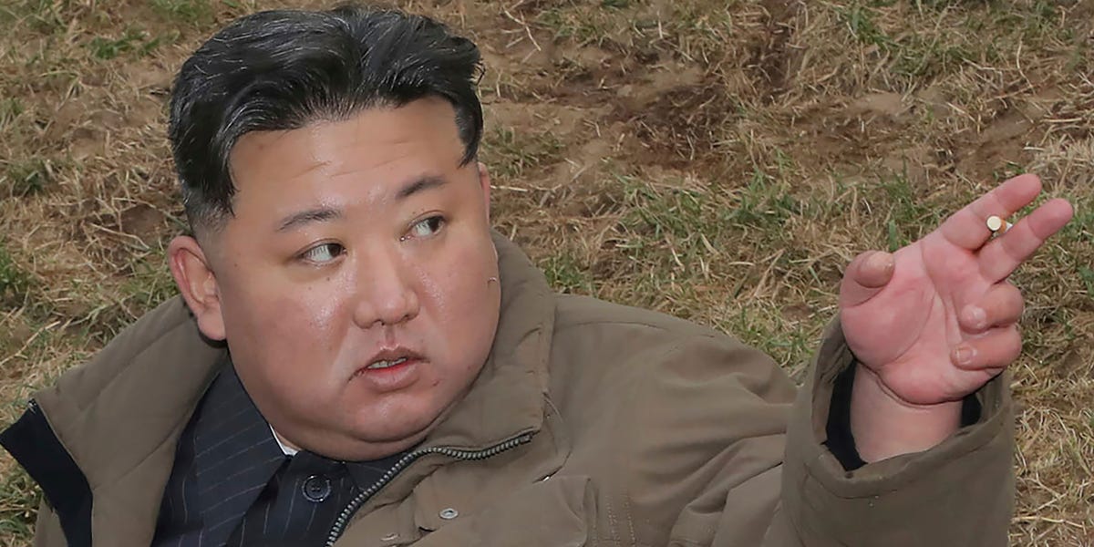 Kim Jong Un Bans Suicide After Numbers Skyrocketed: Report - Business  Insider