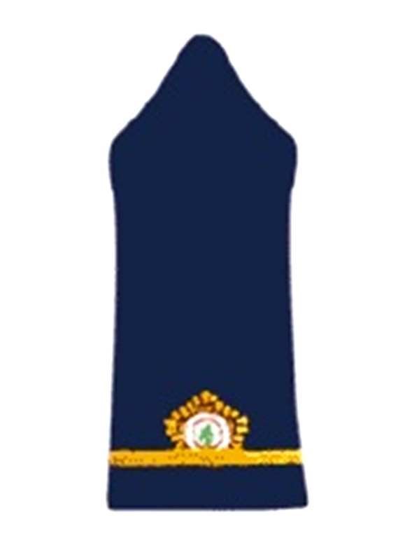 Lebanese-army-insignia-Warrant-Officer.jpg