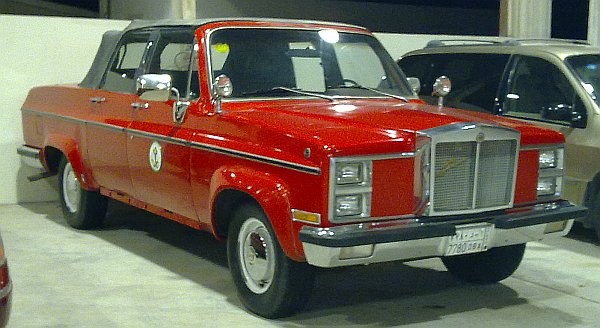 bearhs05.jpg