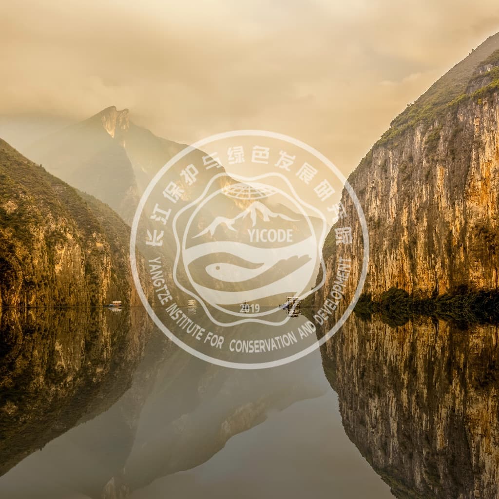 www.yicode.org.cn