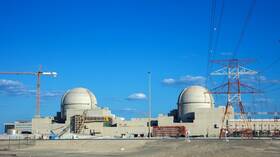 الإمارات تبدأ بتحميل الوقود النووي في أول محطة نووية عربية