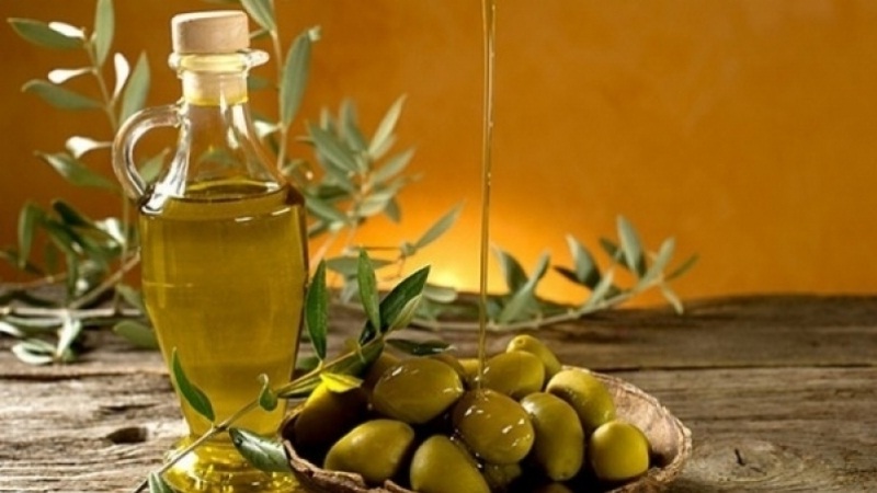 www.alchourouk.com