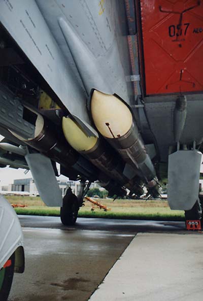 mig31m37.jpg