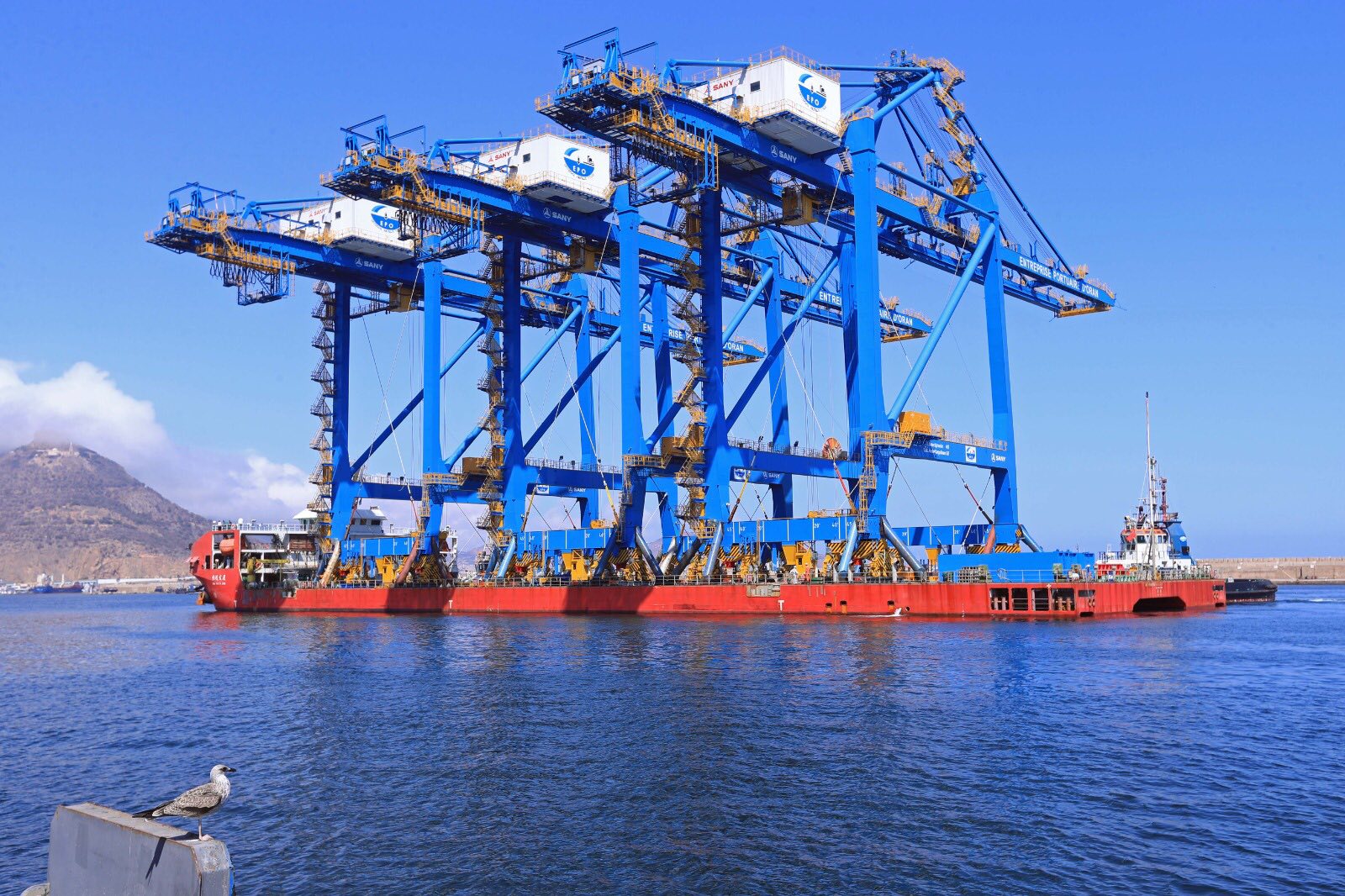 maghrebemergent.news