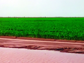 27a-na-21922.jpg