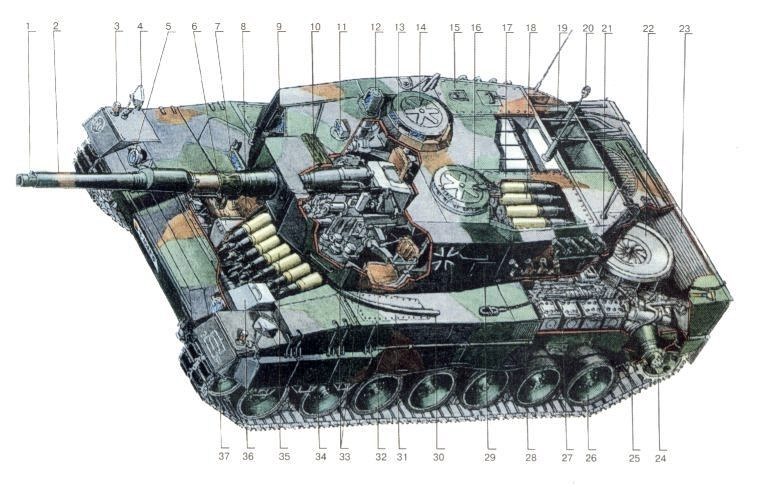 leopard2_23.jpg