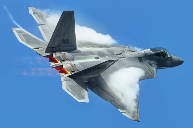 raptor%20(10)_lcjc.jpg