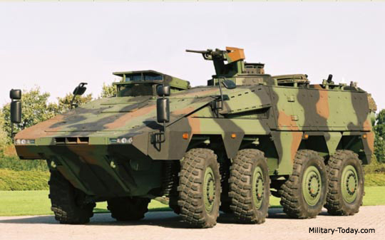 boxer_mrav_l12.jpg