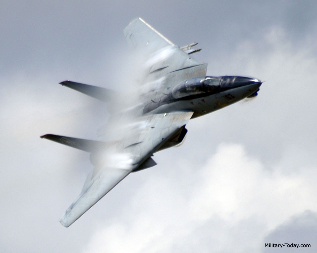 f14_tomcat_l5.jpg
