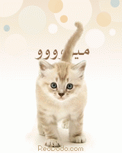 ac207bd6d3.gif