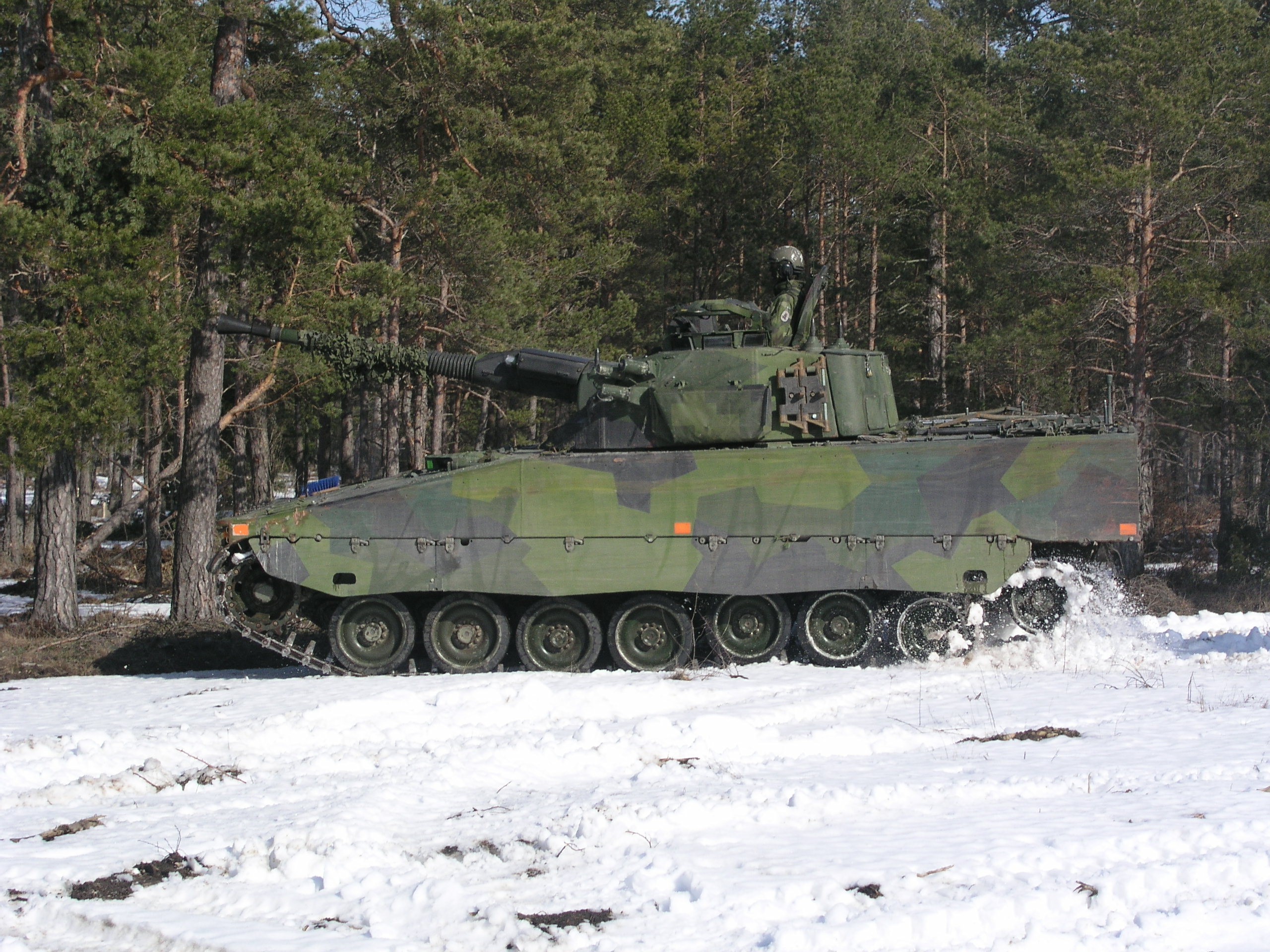 Swedish_CV9040_1.JPG