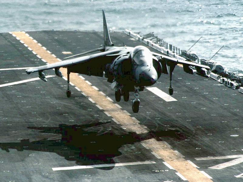 harrier-swa.jpg