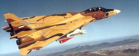 Mehr-News-Iranian-Tomcats1.jpg