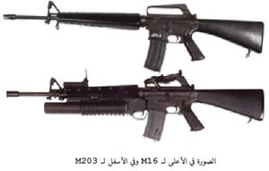 224.jpg