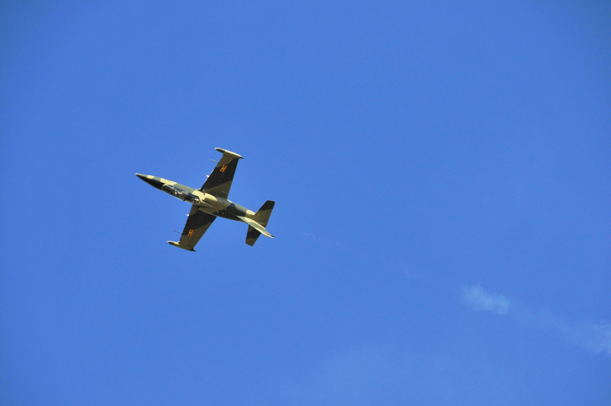 ds2_3077.jpg