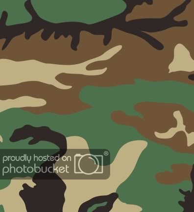 396px-US_Woodland_pattern_svg.jpg