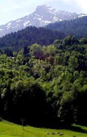 Berghof44cnow.jpg