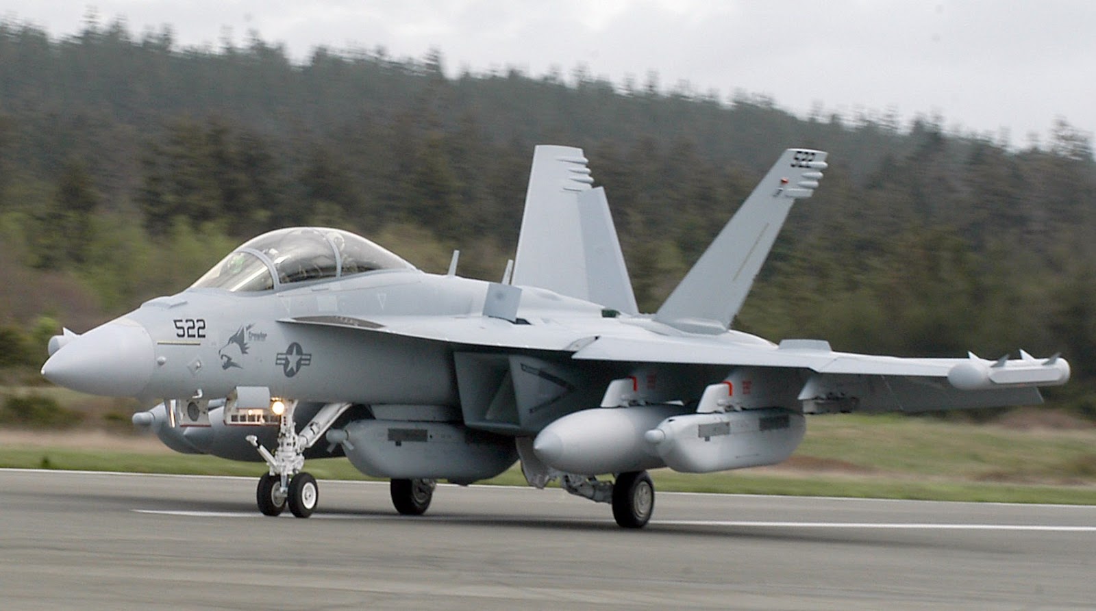 EA-18G_at_Whidbey_April_2007.jpe