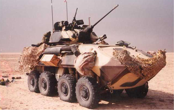 lav25.jpg