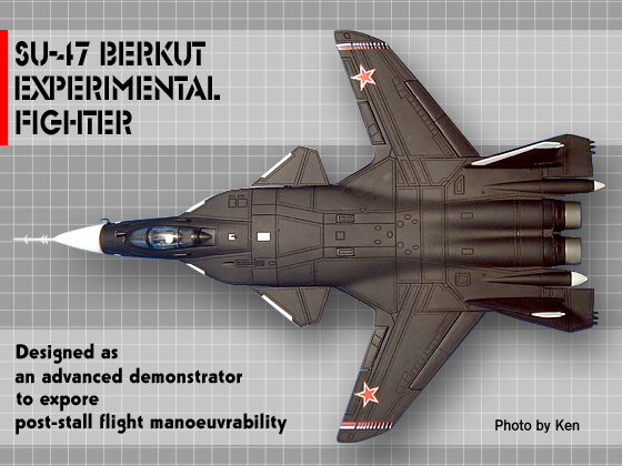 gain_su47_09.jpg