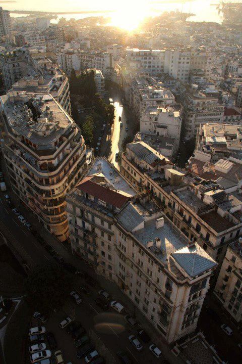Alger la blanche