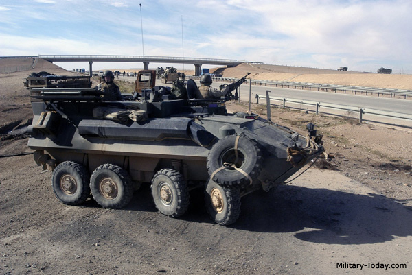 lav_c2.jpg