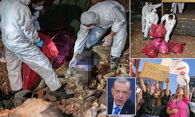 www.dailymail.co.uk