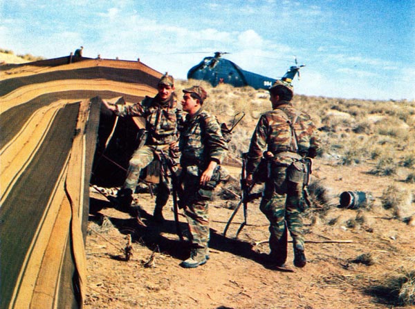 algerie_operatio.jpg