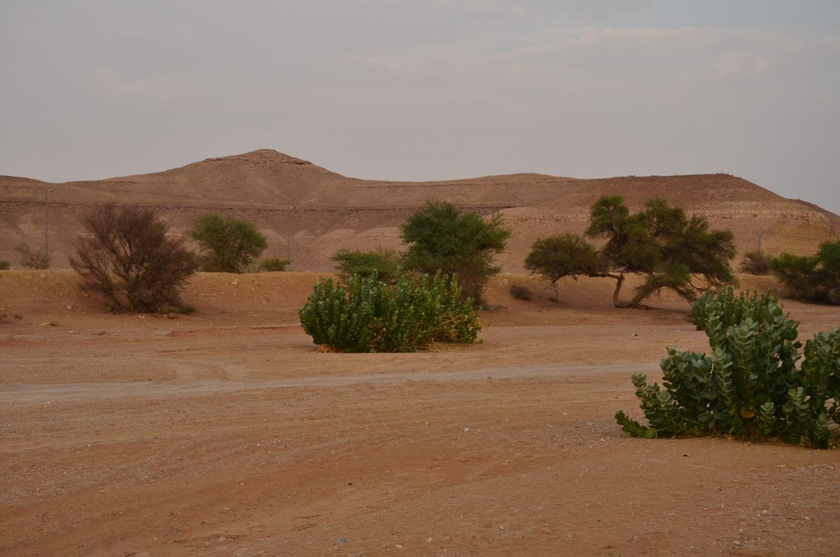 m.marefa.org
