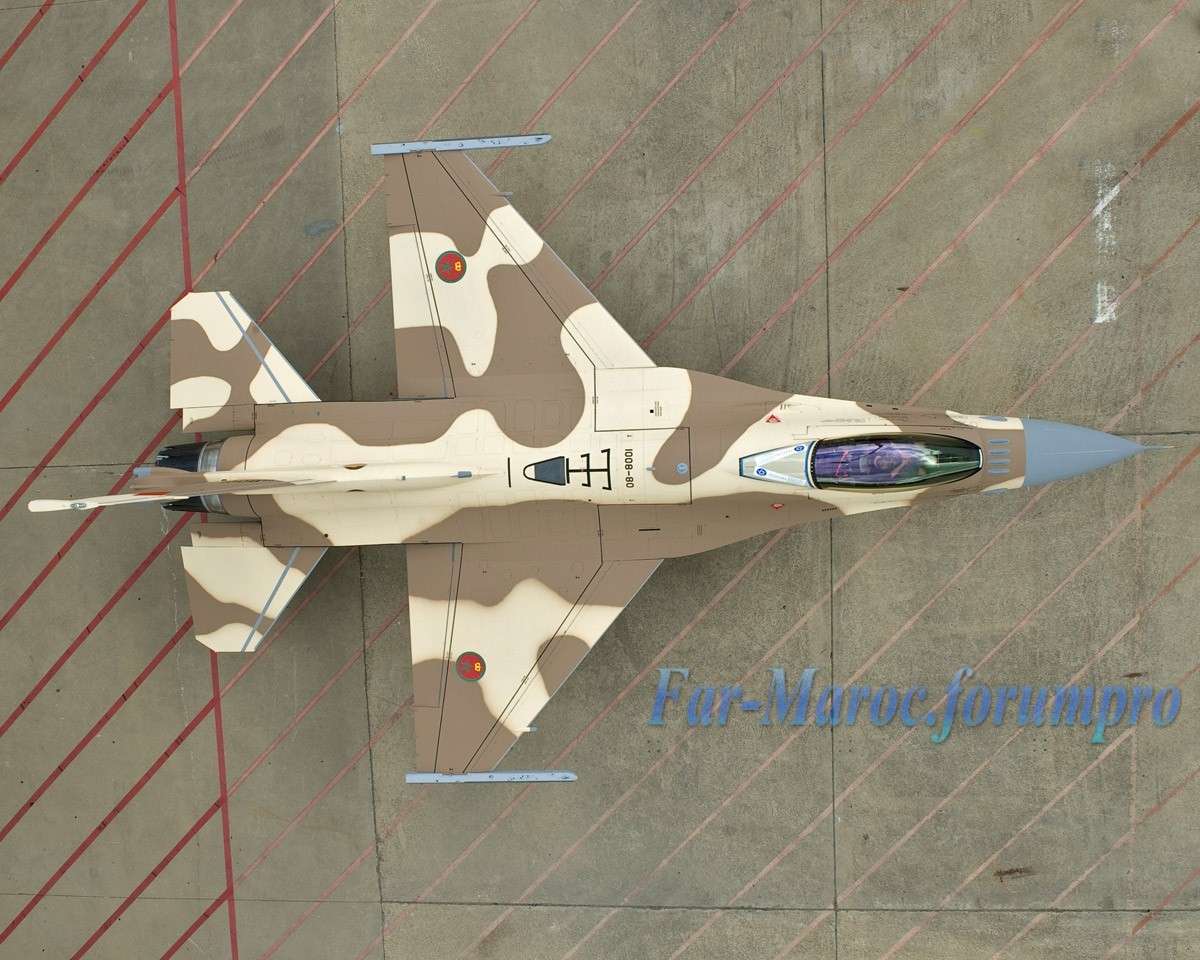 2010_f11.jpg