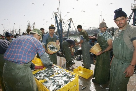 _______Poissons_Pecheurs_Maroc_1_151224052.jpg