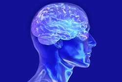 www.livescience.com