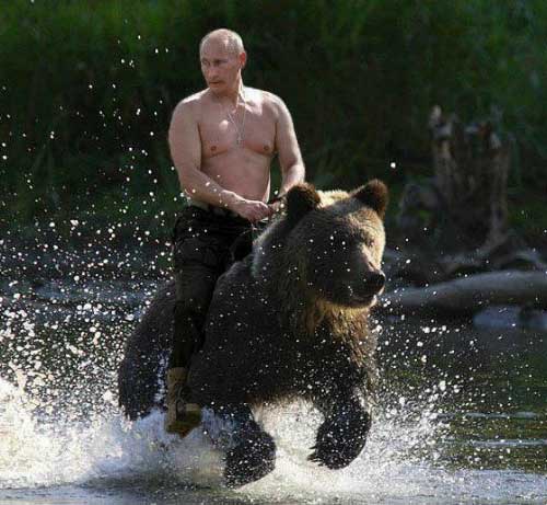 putingridingbear.jpg