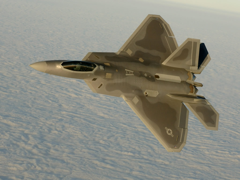 AIR_F-22_Top_Desert_lg.jpg