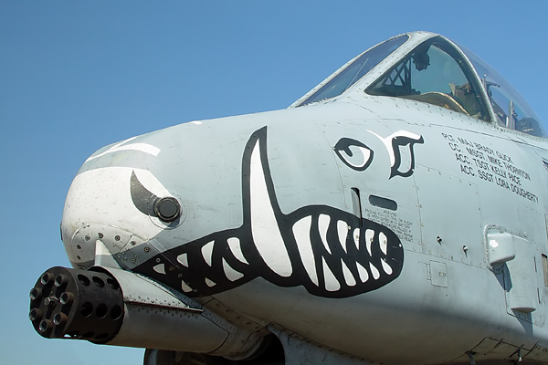 a-10-warthog-tank-buster-1a.jpg